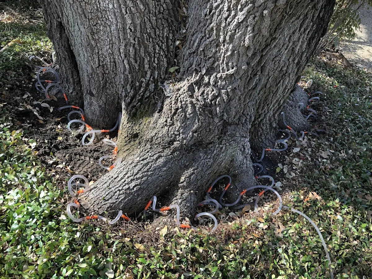 Detailed Shrub and Hedge Trimming job site in Bondville