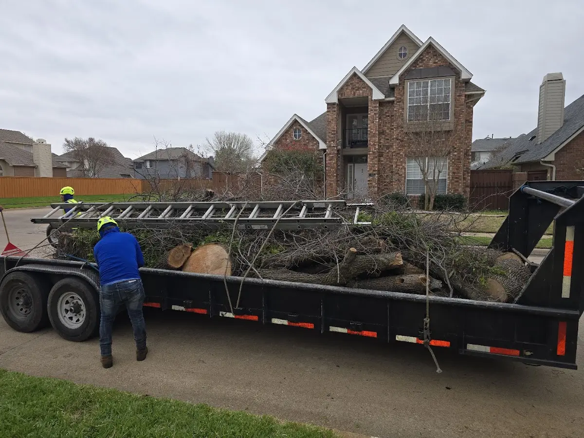 Expert Tree Fertilization with proper safety equipment in Bondville